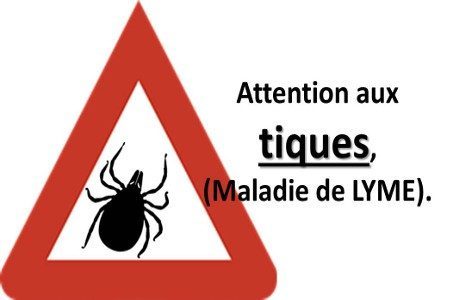 Prévention maladie de Lyme